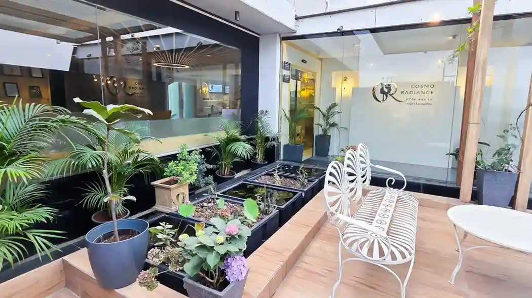 Relaxing outdoor garden seating area surrounded by lotus ponds and greenery